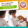imageArm ampamp Hammer for Pets Twisters Fresh Breath Dental Treats for Dogs Value Pack 57 Pieces  Dental Dog Chews Fight Bad Doggie Breath Plaque ampamp Tartar Without BrushingApple