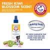 imageArm ampamp Hammer For Pets Super Deodorizing Spray for Dogs  Best Odor Eliminating Spray for All Dogs ampamp Puppies  Fresh Kiwi Blossom Scent That Smells Great 67 Ounces1 Pack FF9367Natural