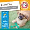 imageArm ampamp Hammer Nubbies TBone Dental Dog Chew Toys Peanut Butter Flavor  Durable Nylon Chewing Toys for Dogs Done Bone Toy Teeth Cleaning Bones for Chewers Help Remove Plaque and TartarPeanut Butter