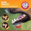 imageArm ampamp Hammer for Pets Clinical Care Dental Gum Health Kit for Dogs  Contains Toothpaste Toothbrush ampamp Fingerbrush  Soothes Inflamed Gums 3Piece Kit Chicken Flavor25 Ounce Pack of 2