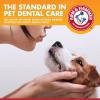 imageArm ampamp Hammer for Pets Dental Enzymatic Toothpaste for Dogs  No More Doggie Breath  Dog Toothpaste Safe for All Dogs and Puppies Advanced Care Chicken Flavor 25 Ounce Pack of 1Gum Health  Beef