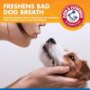 imageArm ampamp Hammer for Pets Dog Oral Care Spray  Fresh Breath ampamp Teeth Cleaning Spray  Pet Breath Freshener  Reduce Plaque ampamp Tartar Buildup  Healthy Mouth Hygiene Solution for Dogs  Mint Flavor 4 OzDental Spray  Tartar Control