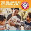 imageArm ampamp Hammer for Pets Dog Oral Care Spray  Fresh Breath ampamp Teeth Cleaning Spray  Pet Breath Freshener  Reduce Plaque ampamp Tartar Buildup  Healthy Mouth Hygiene Solution for Dogs  Mint Flavor 4 OzDental Spray  Fresh Breath