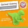 imageArm ampamp Hammer for Pets Nubbies Dental Toys TRex Dental Chew Toy for Dogs Best Dog Chew Toy for Moderate Chewers Reduces Plaque ampamp Tartar Buildup Without Brushing Mint Flavor Pack of 1Green