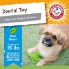 imageArm ampamp Hammer for Pets Nubbies Dental Toys TRex Dental Chew Toy for Dogs Best Dog Chew Toy for Moderate Chewers Reduces Plaque ampamp Tartar Buildup Without Brushing Mint Flavor Pack of 1Green