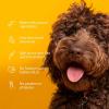 imageArm ampamp Hammer for Pets Soothing Oatmeal Pet Shampoo  Nourishing and Moisturizing Dog Shampoo with Gentle Cleansing formula  Vanilla Coconut Scent 20 oz Bottle Shampoo for Pets20 Fl Oz Pack of 1