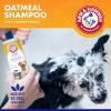 imageArm ampamp Hammer for Pets Soothing Oatmeal Pet Shampoo  Nourishing and Moisturizing Dog Shampoo with Gentle Cleansing formula  Vanilla Coconut Scent 20 oz Bottle Shampoo for Pets16 Fl Oz Pack of 1