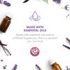 imageArm ampamp Hammer for Pets Air Care Calming Bamboo Charcoal Air Purifying Bag in Lavender Vanilla Scent  176 oz Odor Absorbing Charcoal Bag  Easy Pet Odor Eliminator for Pet Households FF12537Lavender Vanilla