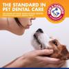 imageArm ampamp Hammer for Pets Clinical Care Travel Dental Kit for Dogs in Vanilla Ginger Flavor  Dog Toothbrush and Toothpaste Set Safe for All Dogs  All In One Solution To Dog Teeth CleaningTravel Kit  Vanilla Ginger