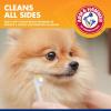 imageArm ampamp Hammer for Pets Clinical Care Travel Dental Kit for Dogs in Vanilla Ginger Flavor  Dog Toothbrush and Toothpaste Set Safe for All Dogs  All In One Solution To Dog Teeth CleaningTravel Kit  Vanilla Ginger