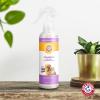 image:imageArm amp Hammer for Pets Air Care Calming Room Spray for Pet Odor Elimination Lavender Vanilla Scent  Air Freshener Pet Deodorizer Spray with Baking Soda for Households 10 Fl OzLavender Vanilla