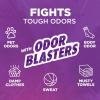 image:imageARM amp HAMMER Plus OxiClean Odor Blasters Fresh Burst 128 Loads Liquid Laundry Detergent 1665 Fl ozFresh Botanical