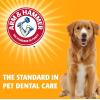 image:imageArm amp Hammer for Pets Nubbies Dental Treats  Baking Soda amp Calcium Dog Dental Chews Nubbed Texture Helps Scrub Plaque amp Tartar While Chewing Peanut Butter Flavor 20 Count 7 Ounce  4 PackPeanut Butter