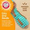 image:imageArm amp Hammer for Pets Chew Tools Collection Wood Blend Pliers Chew Toy for Dogs  Compressed Wood Dog Chew Toys with Baking Soda Safer amp Durable Alternative to Chewing SticksPaintbrush