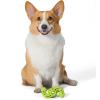 image:imageArm amp Hammer for Pets Nubbies Dog Dental Toys TPR Wave Toy Mint Flavored Chew Toy for Dogs Best Dog Chew Toy for Gentle Chewers Reduces Plaque amp Tartar Buildup Without BrushingGreen