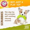 image:imageArm amp Hammer for Pets Scrubbies Boomerang Chew Toy for Senior Dogs Infused with Baking Soda  Durable Teething Toy with Unique Shape for Fetch amp Chew  Interactive Dental Chew Toy for PuppiesBoomerang