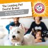image:imageArm amp Hammer for Pets Super Treadz Large Rooster Dental Chew Toy for Dogs Dog Dental Toys Help Reduce Plaque amp Tartar Buildup Without Brushing  Safe for Dogs up to 35 Lbs  2 PackGator