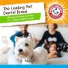 image:imageArm amp Hammer for Pets Super Treadz Large Rooster Dental Chew Toy for Dogs Dog Dental Toys Help Reduce Plaque amp Tartar Buildup Without Brushing  Safe for Dogs up to 35 Lbs  2 PackBlowfish