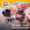 image:imageArm amp Hammer Complete Care Enzymatic Dog Toothpaste with Baking Soda and Calcium Fluoride Free Formula for Plaque Tartar Control and Fresh Breath Chicken Flavor 62 Oz  6 PackDog