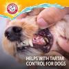 image:imageArm amp Hammer Dog Dental Water Additive Breath Freshener Odorless Flavorless Oral Care Solution for Plaque and Tartar Control Daily No Brush Dental Support for Dogs 16 Fl OzDental Rinse