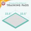 image:imageArmampHammer Green Tea Pet Training Pads 200Ct Dog Training Pads with Super Absorbing Green Tea and ArmampHammer Baking Soda for 2X The Odor Control Leakproof amp Recycled Training Pads for DogsPack of 1225 x 225 200 Count