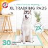 image:imageArmampHammer Green Tea Pet Training Pads 200Ct Dog Training Pads with Super Absorbing Green Tea and ArmampHammer Baking Soda for 2X The Odor Control Leakproof amp Recycled Training Pads for DogsPack of 128 x 30Pack of 6