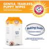 image:imageArm amp Hammer Dog Grooming Wipes Deodorizing Dog Cleaning Wipes with Coconut Water Gentle for Dogs and Puppies Paraben and Sulfate Free Formula Light Coconut Scent 100 CountPuppy Wipes