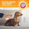 image:imageArm amp Hammer for Pets Itch Relief Spray for Dogs Soothing Dog Skin Spray to Help Calm Itchy and Irritated Skin and Hot Spots Between Baths Chamomile amp Peppermint Scent 8 Fl Oz  6 PackChamomile  Peppermint