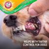 image:imageArm amp Hammer Complete Care Brushless Oral Gel for Dogs NoBrush Toothpaste Formula Fresh Breath Tartar Control  Baking Soda Enhanced Dental Dog Supplies Peanut Butter Flavor 4ozOral Gel  Peanut Butter