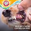 image:imageArm amp Hammer Complete Care Brushless Oral Gel for Dogs NoBrush Toothpaste Formula Fresh Breath Tartar Control  Baking Soda Enhanced Dental Dog Supplies Peanut Butter Flavor 4ozDental Kit  Peanut Butter  Mint